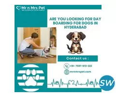 Best Day Boarding For Dogs in Hyderabad