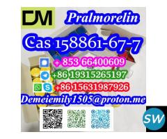 Pralmorelin CAS 158861-67-7