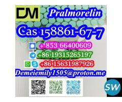 Pralmorelin CAS 158861-67-7