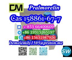 Pralmorelin CAS 158861-67-7 - 5