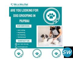 Exclusive Dog Grooming at Home in Mumbai