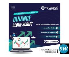 Create a Feature-Rich Binance script at a low cost