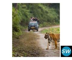 Delhi-Corbett National Park Weekend Tour