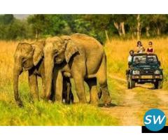 Corbett National Park Package 2 Nights 3 Days