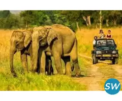 Corbett National Park Package 2 Nights 3 Days - 1
