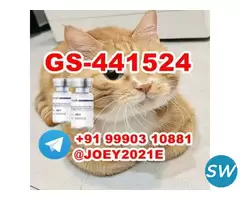 GS-441524 FIP  Feline Infectious Peritonitis