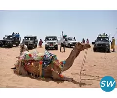 Pre-wedding shoot in Jodhpur - 3