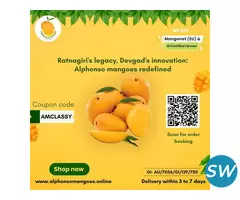 Alphonso Mango Online - 1