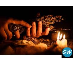 Best vashikaran expert in Bhopal