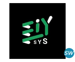 Tally Services - Eiy sys