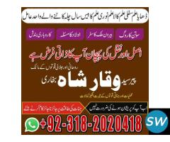 top 1 amil baba world best astrologers in karachi