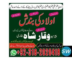 top 1 amil baba world best astrologers in karachi