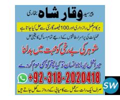 top 1 amil baba world best astrologers in karachi