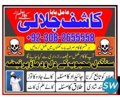 amil baba world best astrologers in karachi