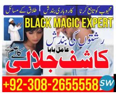 amil baba world best astrologers in karachi