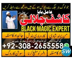 amil baba world best astrologers in karachi