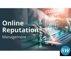 Online Brand Reputation Management Services