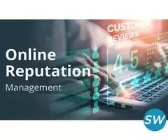 Online Brand Reputation Management Services