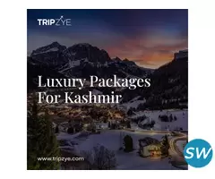 kashmir luxury packages - 1