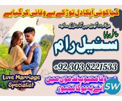 Divorce problem solution expert specialist