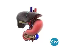 Best Oncologist Surgeon in Dehradun - 2