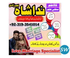 Leading Astrologer in the United Kingdom - 1