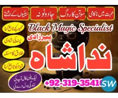 Leading Astrologer in the United Kingdom - 2