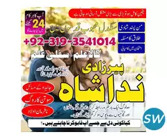 Leading Astrologer in the United Kingdom - 5