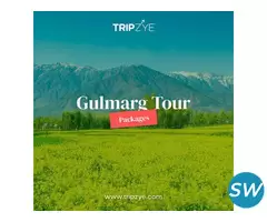 kashmir gulmarg tour - 1