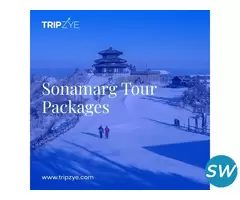 sonmarg holiday packages