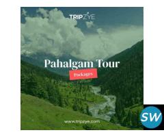 pahalgam tour packages