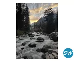 Himachal/ Shimla Hills - 3