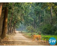 Corbett National Park