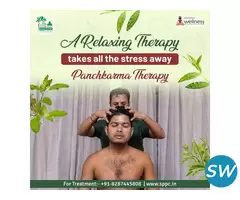 Panchakarma Treatments In Delhi - 1