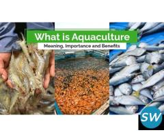 Types of Aquaculture - 1