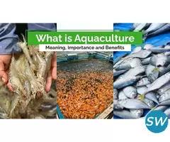 Types of Aquaculture - 1