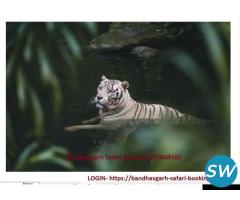 Bandhavgarh Safari  ticket - 1