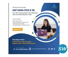 Join Our SAP FICO and SD Live Training Batches! - 2