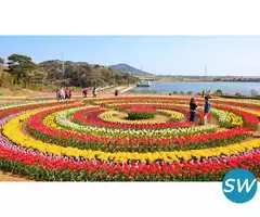 Srinagar Delights 4 Nights 5 days package - 4