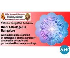 Hindi Astrologer in Bangalore - 1