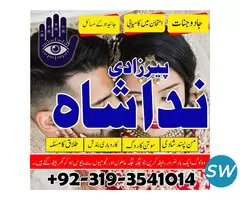 Top Astrologers For Love Problem in canada uk - 5