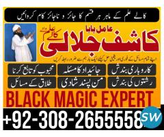 Black Magic Removal, Love Problem Solution