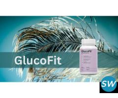 Glucofit: Transform Your Body