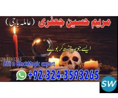 Famous Astrologer Black Magic Specialist .