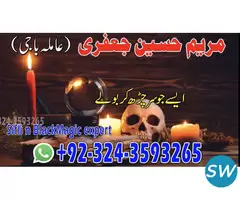 Famous Astrologer Black Magic Specialist . - 1