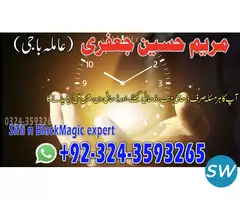 Famous Astrologer Black Magic Specialist . - 2