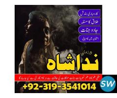 Famous Astrologer Black Magic Specialist .