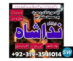 Famous Astrologer Black Magic Specialist .