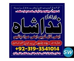 expert no 1 amil baba in karachi london