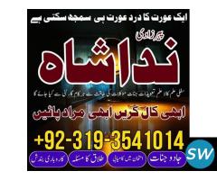 expert no 1 amil baba in karachi london